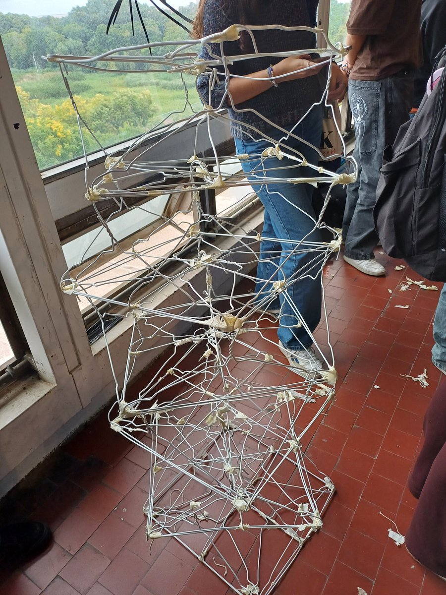 emigosiss's tweet photo. Estructura by nerea
#bynerea https://t.co/zMr598umz6