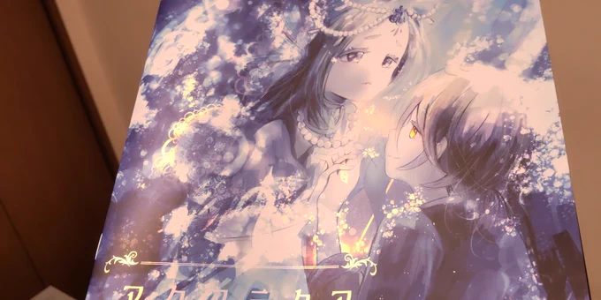ジャケットぱっと見ではわからないのでわりと大人しい方だと思っていますが合ってます……?(参照:昨年のM3春) 