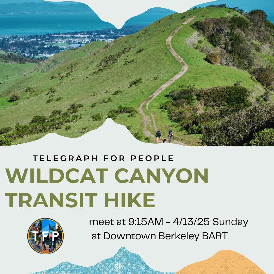 Telegraph For People tweet media