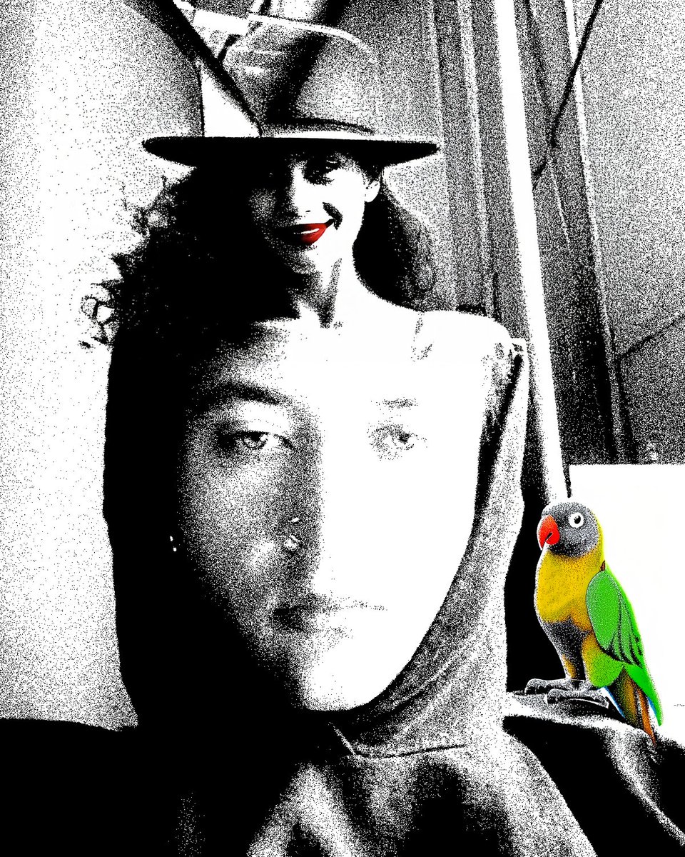 ethan.website (@ethandotwebsite) on Twitter photo 