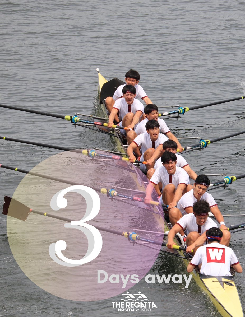 #早慶レガッタ まであと3日！

#早慶戦 #早慶レガッタ #早稲田 #慶應
#春から早稲田 #春から慶應
#隅田川 #浅草 #ボート