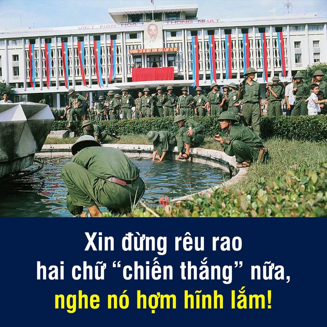 Tri Nguyen (Ông Tám) tweet media
