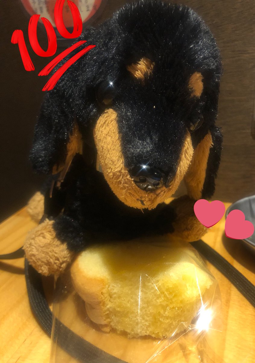 Emichqmq's tweet photo. こないだ久しぶりにチビドンちゃんやお位牌ドンちゃんにスイーツ🍰お供えして一緒に寝たら💤
久々に夢の中で抱っこさせてくれた🐶👏

もふもふ可愛いかったなぁ❤️

また甘いものお供えするから遊びに来てね☺️ https://t.co/g45kXDf4lF