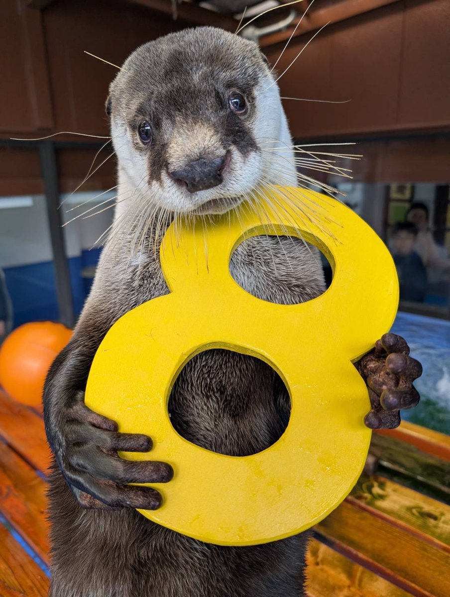 伊勢シーパラダイス【公式】 on X