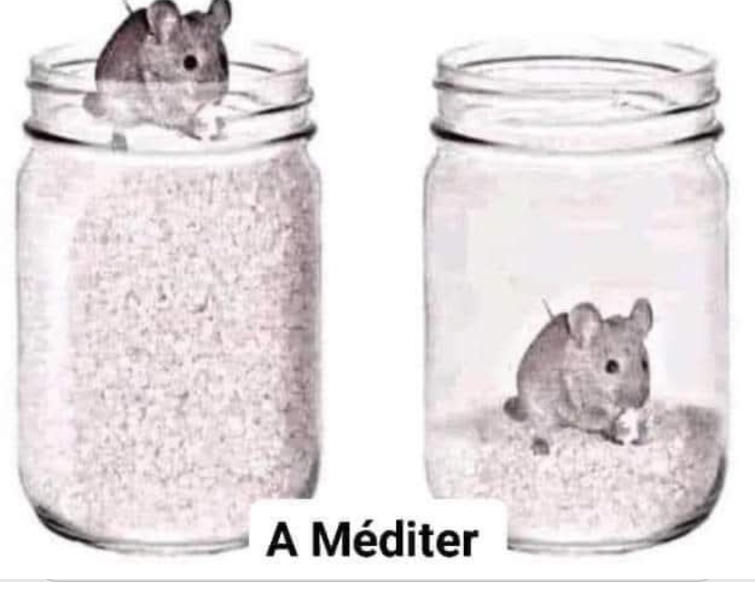 Marcel Dango tweet media