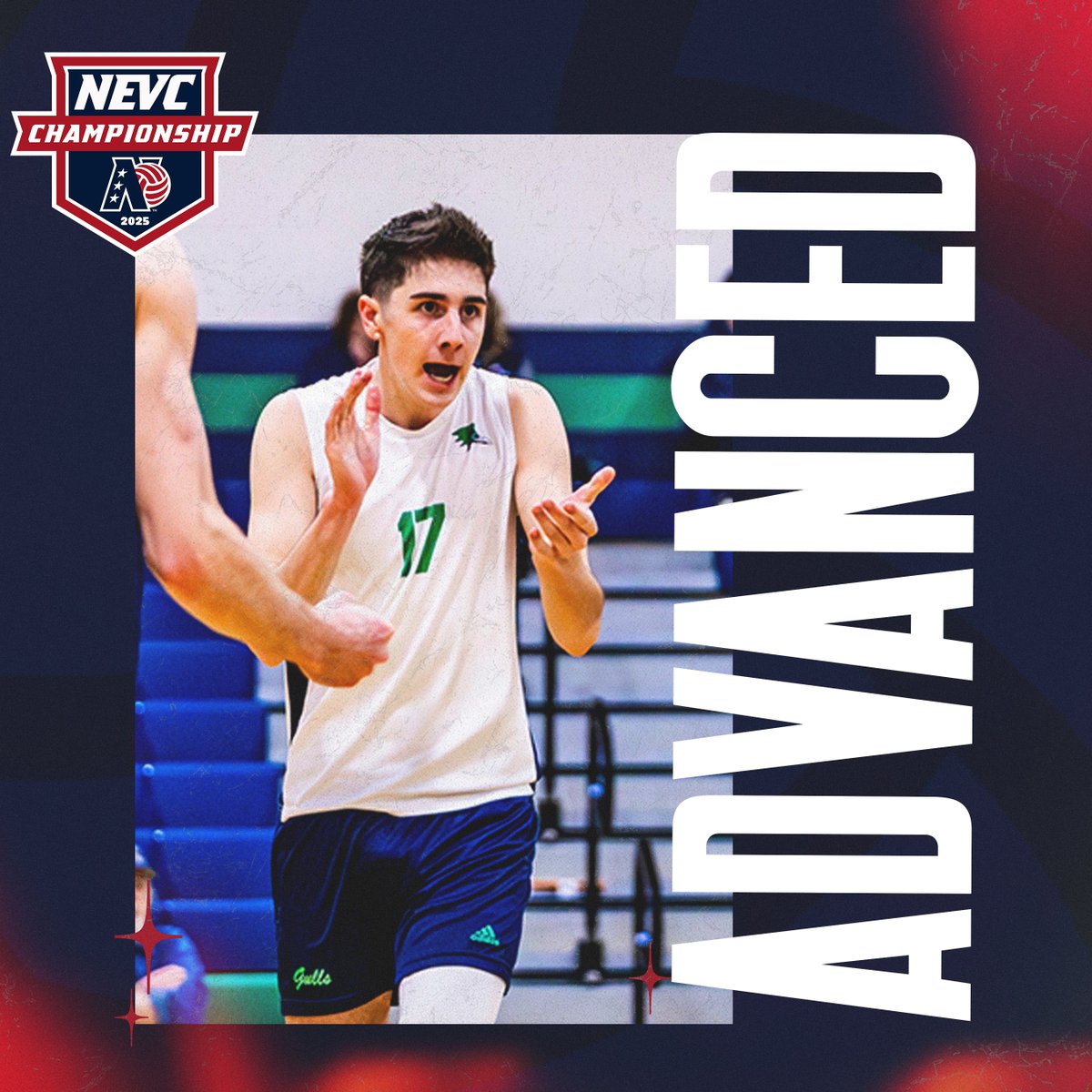 New England Volleyball Conference tweet media