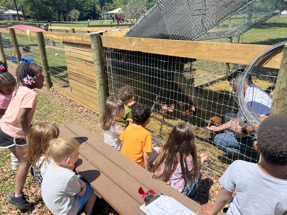 rcepride's tweet photo. Students from Ms. Manucci’s KG class getting a lesson on what chickens eat.  Dr. Manning is in the coop! https://t.co/4Ea0CqKgsz