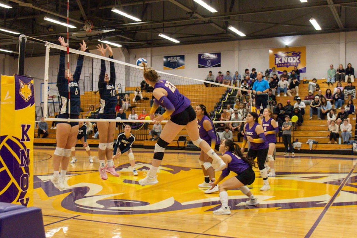 KnoxCollege1837's tweet photo. It's #D3Week! ๐ฅ Weโre celebrating Knox student-athletes and the impact of Division III athleticsโfrom academic achievements to community leadership.
๐๐ Check out highlights from some of our Prairie Fire teams!
#WhyD3 #D3Knox #KnoxCollege #PrairieFirePride https://t.co/WAQavKb145