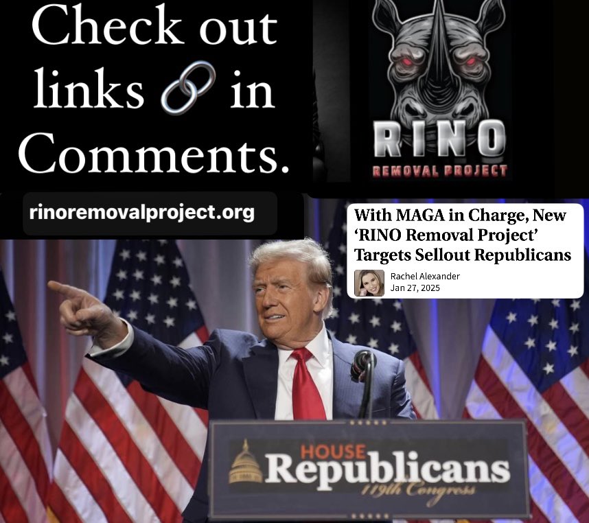 SpunkyPatriot_'s tweet photo. President Trump is back, but if we allow RINOs to remain in office or return to office, our fight will be in vain. This is why the RINO Removal Project is important. Check out this thread 🧵and consider getting invloved today! @RINO_Removal https://t.co/YJfEB66k23
