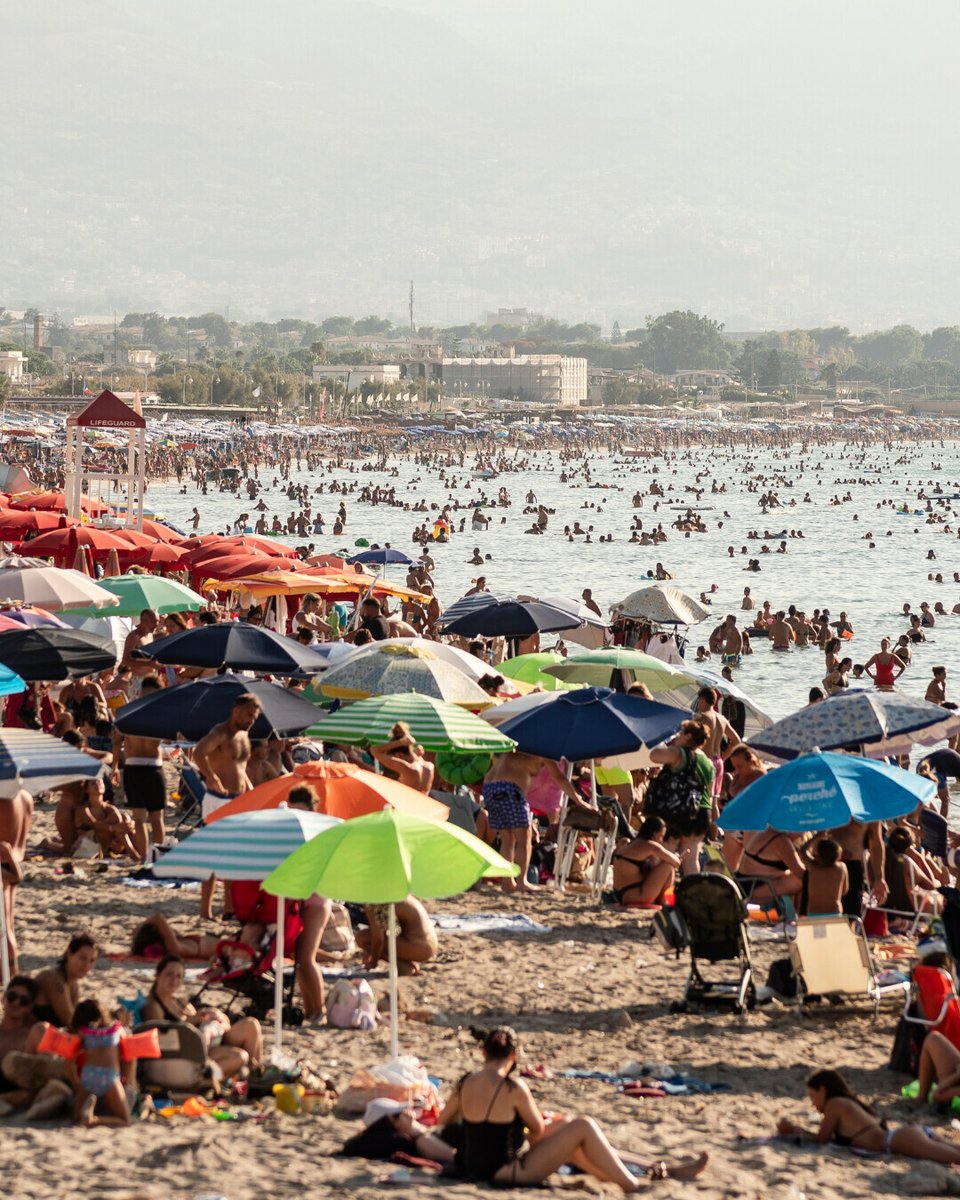 FRANCE 24 Español tweet media