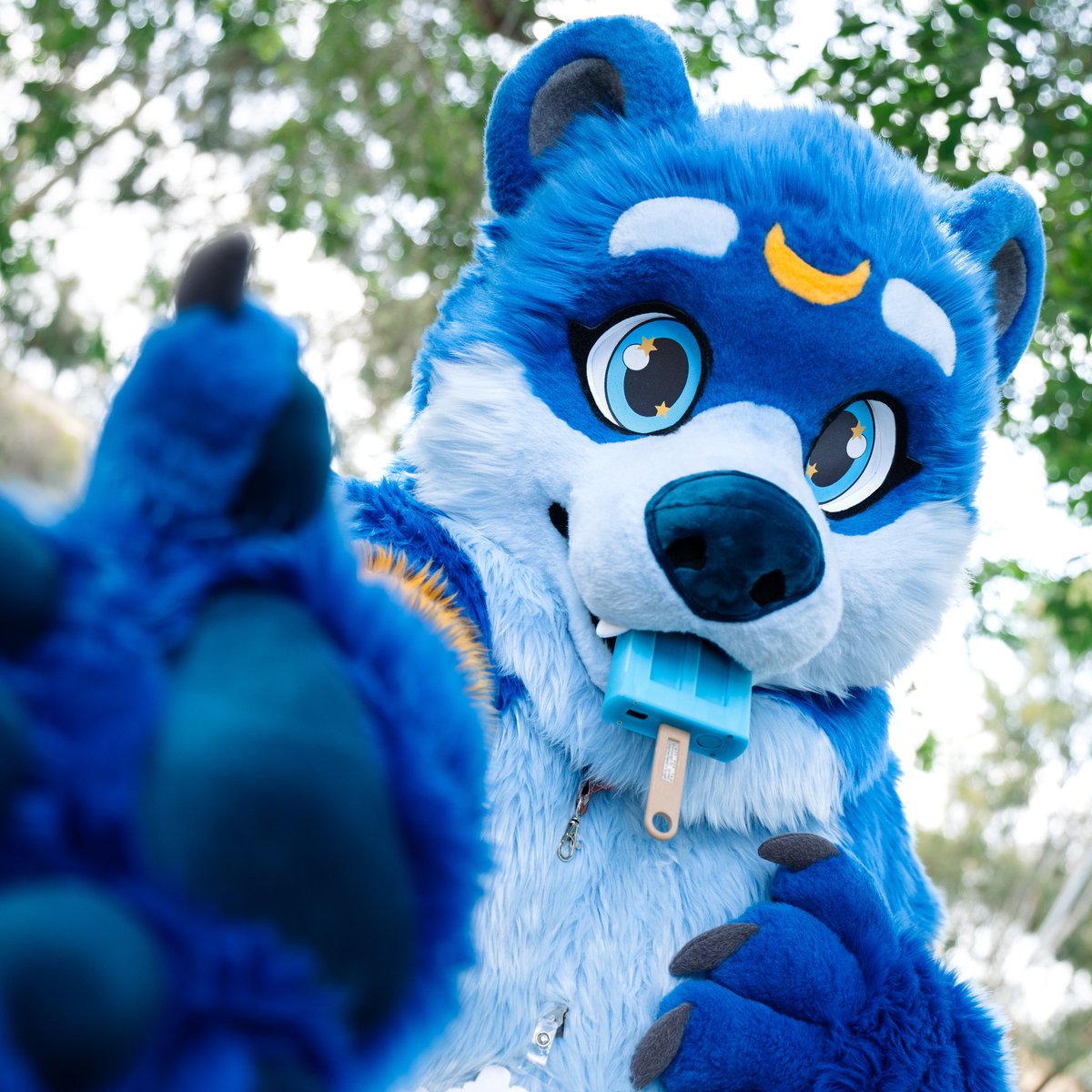 How to find me @ #TFF2025 and #lvfc2025
Do's: 
-Say hi 
-Ask for pictures 
-Ask for a sticker 
-Ask for a hug
Don'ts:
-Randomly touch my belly 
-Hug from behind 
-Pull on my tail 
I'm super approachable if you wanna interact with me just say Hi
 I love giving hugs and taking pics