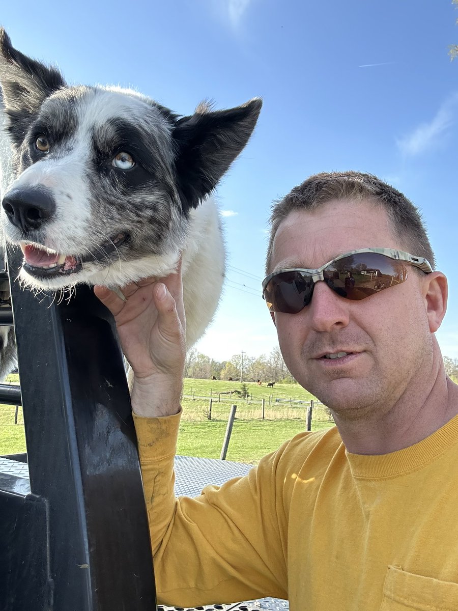 DerickMarr's tweet photo. Nice little visitor while checking fence rows and cows. When I retire I want a dog like this to ride around with me on the back of an old flatbed truck 😂. https://t.co/WEdEjodPBt