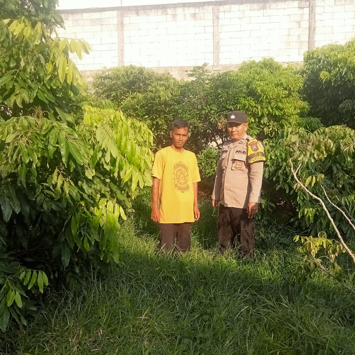 polsek_bangil's tweet image. Bhabinkamtibmas Kelurahan Kidul Dalem Aiptu Mustakim Kecamatan Bangil sedang melaksanakan pemantauan pada lahan pekarangan pangan bergizi tanaman buah kelengkeng Milik Bpk. Isa Ansori yang berada di Kel. Kidul Dalem Kec. Bangil Kab. Pasuruan

#PolsekBangil
#Polrespasuruan
#Polda