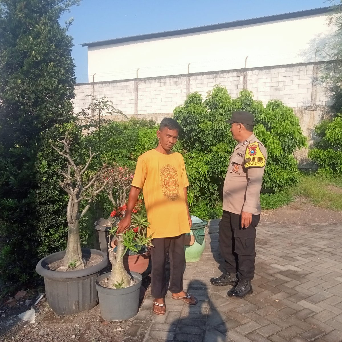 polsek_bangil's tweet image. Bhabinkamtibmas Kelurahan Kidul Dalem Aiptu Mustakim Kecamatan Bangil sedang melaksanakan pemantauan pada lahan pekarangan pangan bergizi tanaman buah kelengkeng Milik Bpk. Isa Ansori yang berada di Kel. Kidul Dalem Kec. Bangil Kab. Pasuruan

#PolsekBangil
#Polrespasuruan
#Polda