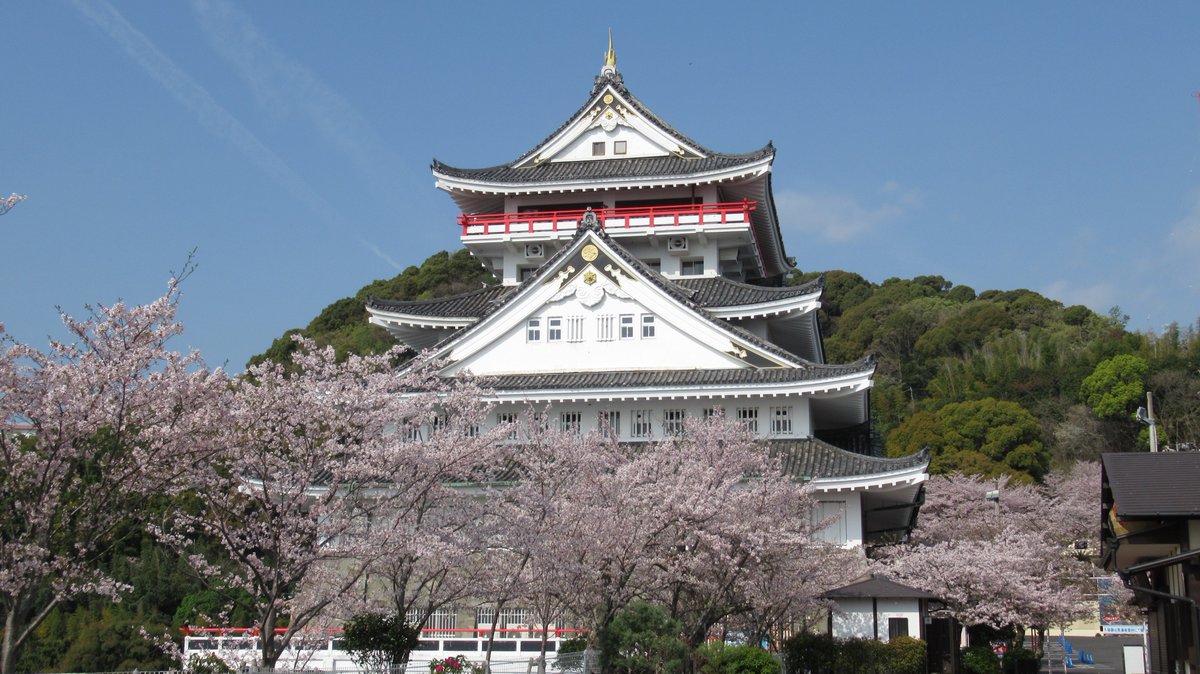 AtamiCastle's tweet image. 熱海城さくら開花状況です。本日お城の前の桜は落下盛ん。庭園手前も落下盛ん。庭園奥は散り始めです。まだ十分見れると思われます。#熱海城 #熱海 #開花 #桜 #さくら  #ソメイヨシノ  #Atami #SAKURA #Atamicastle