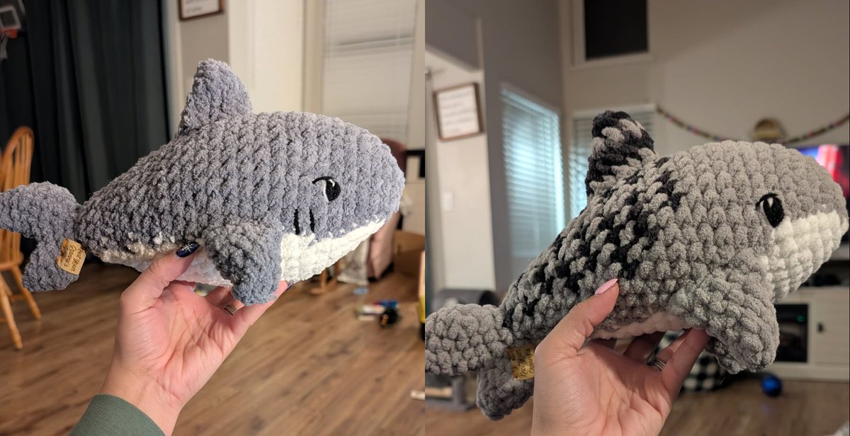 Daniel Wagner tweet media