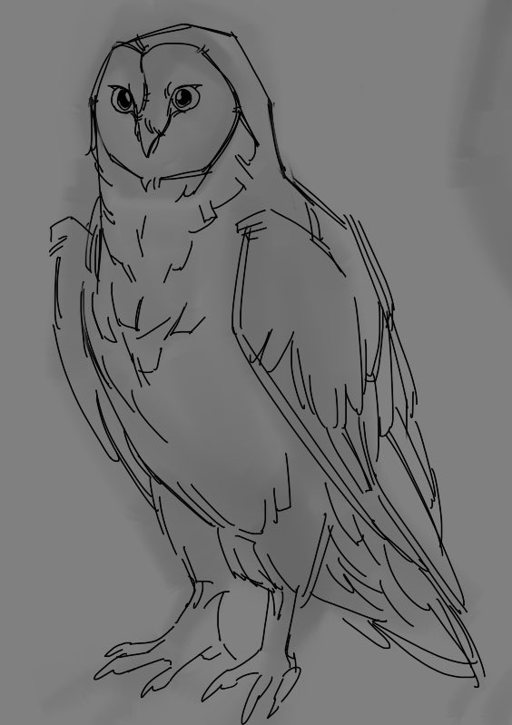 Kevinexe06's tweet photo. wip oc
#theowlsofgahoole #legendsoftheguardians https://t.co/aFITUkn1Rn