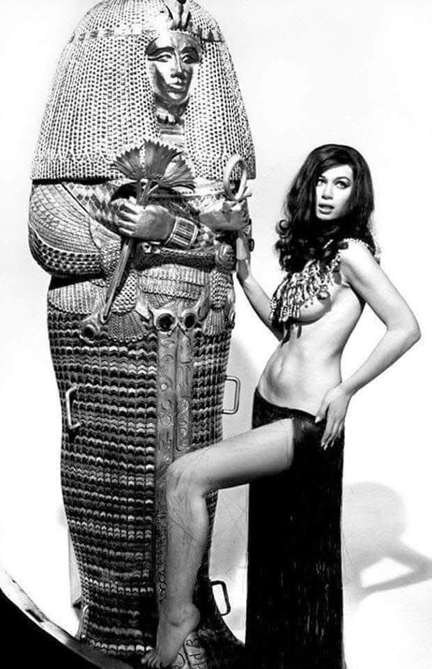 RCDad92's tweet photo. Any fans of Valerie Leon
Blood from the Mummy's Tomb?
Painting by Bruce Timm
#HammerStudios https://t.co/8S1tNSSsNl