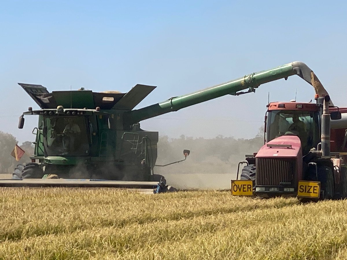 CeRRF_Griffith tweet media