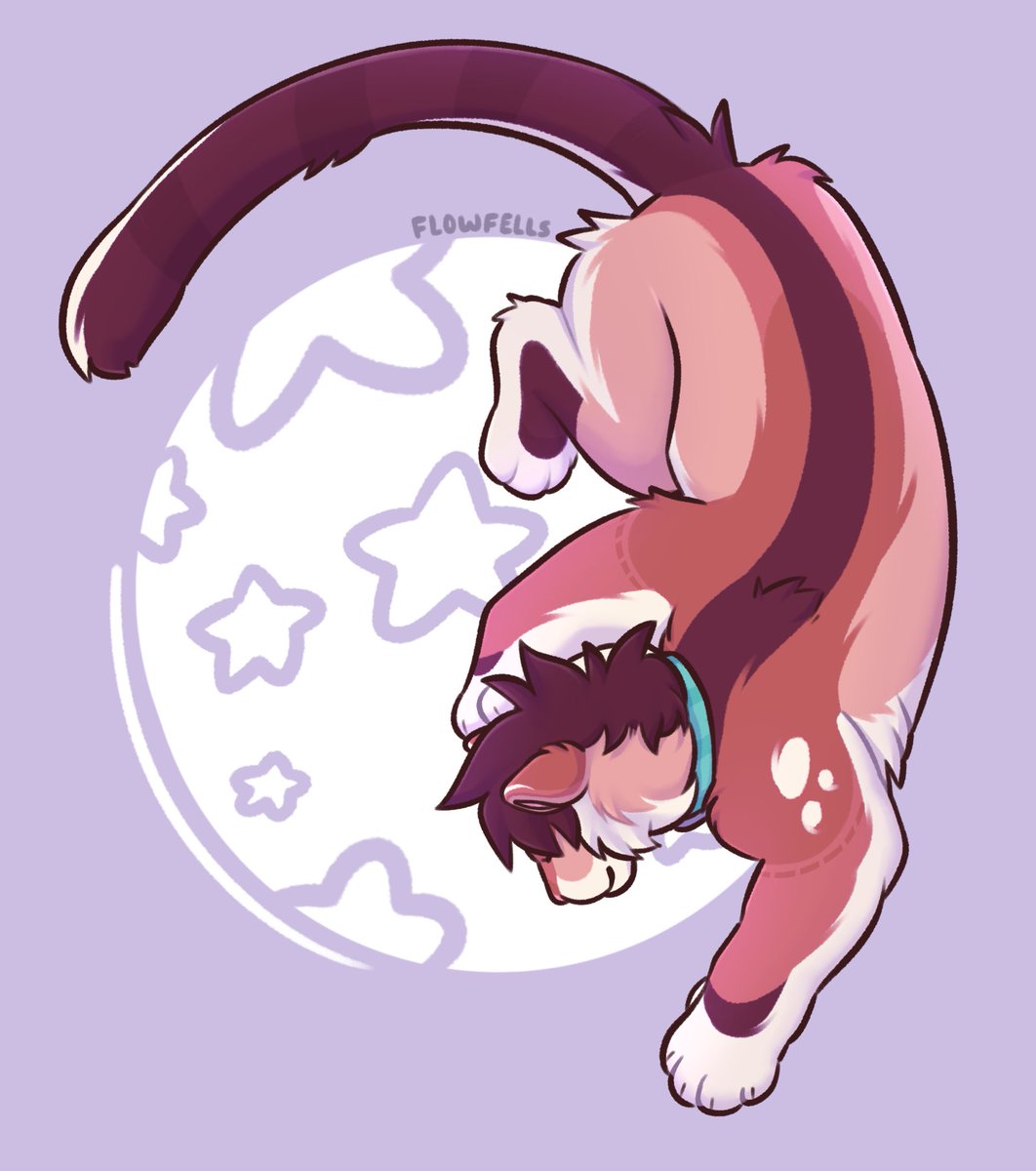 Flowfells's tweet image. Around the world around the woorld