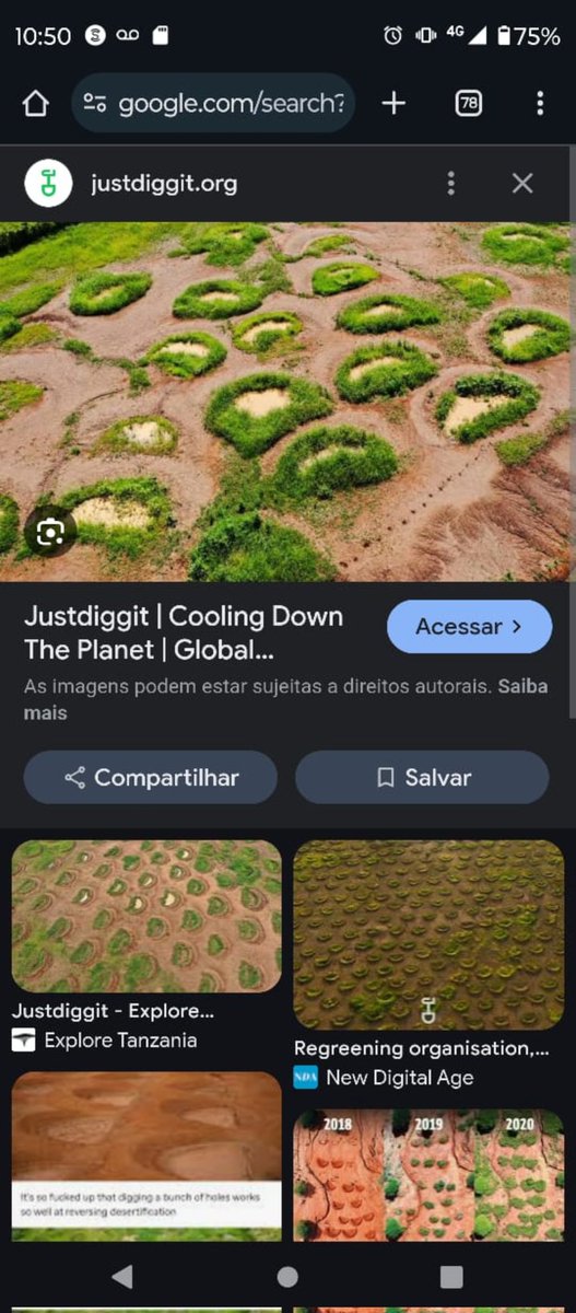 ProfRiquim's tweet image. @justdiggit  atmospheric water planters @watergen_Inc AWG #atmosphericWatergeneration #spongecities @KongjianYu #aquaponics @TurbulentHydro @Home_Biogas #permaculture #agrotech @novonesis @embrapa #agroforestry #terraformation #AGENDA2030