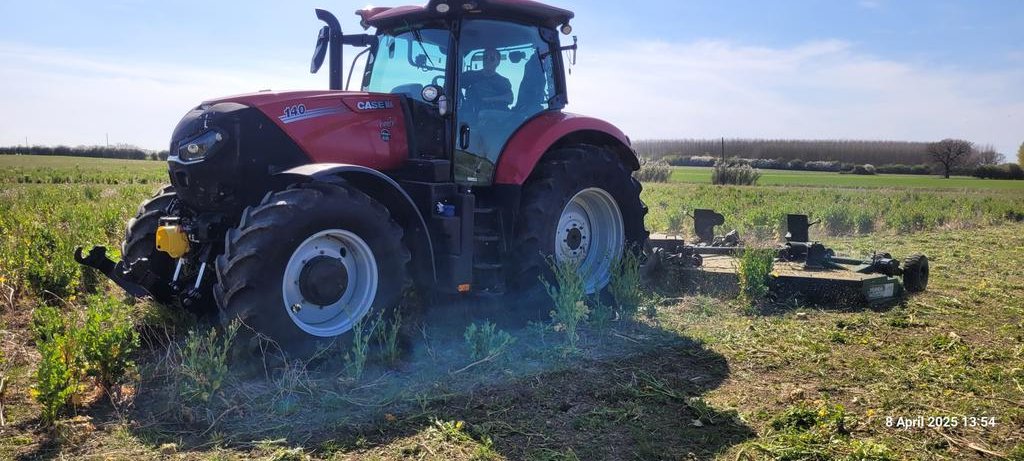 Topping the old AB9 in front of a spray and re drill. The Spearhead batwing cutter makes light work of the job.
'Thekitthatcutsit'
<a href="/SpearheadWorld/">Spearhead Machinery</a> 
<a href="/Sharmansagri/">Sharmans Agricultural</a> 
<a href="/irelandsfarmmac/">Irelands Machinery</a> 
#CSS
#Environment 
#workingwithnature