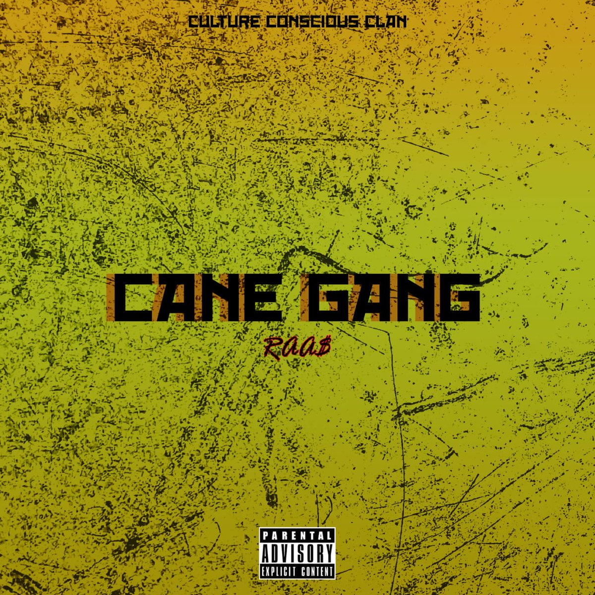 raas1214's tweet photo. Initially I wanted to share the smart link with everyone as I had planned this to be a surprise.
Distributors also had their own surprise I guess😅.

Cane Gang available now on YouTube!

#CaneGangOutNow
#3C
#CaneGang 

https://t.co/EyiR3UIb7L

https://t.co/VImFN7f7aI https://t.co/tGlTGpYXtR