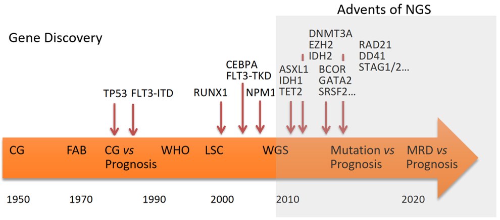 🎉Article Alert: Genomics in leukaemia in clinical practice: past, present and the future  
#AcuteMyeloidLeukaemia

😄Leukaemia has long been the foundational paradigm for new concepts in cancer biology. 

☀️Read more:
f.oaes.cc/xmlpdf/aa04db2…