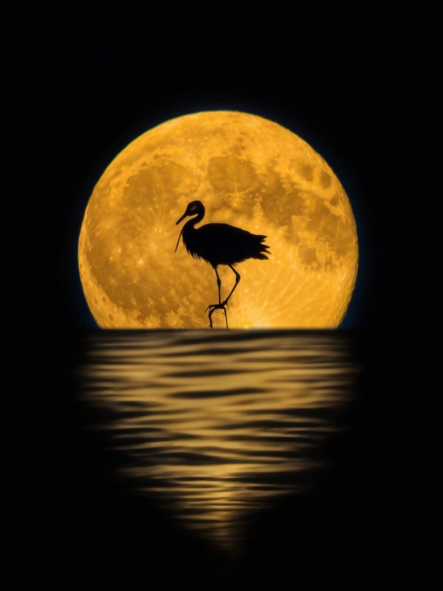 Breathtaking shot