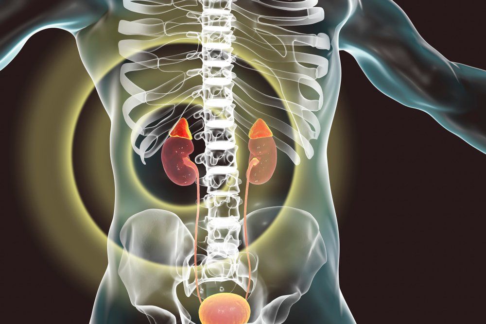 MiOtraVersion85's tweet photo. No puedes quemar grasa si el cortisol tiene tu sistema nervioso atrapado en modo supervivencia.

Aquí tienes cómo recuperar el equilibrio (de forma natural)🧵 https://t.co/sWESM4m6Rd