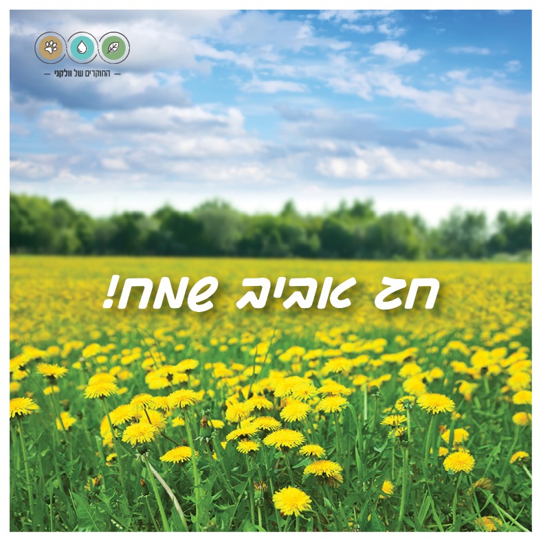 החוקרים של וולקני tweet media