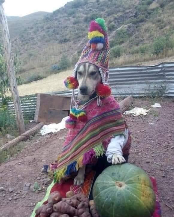 현진 xim tweet media