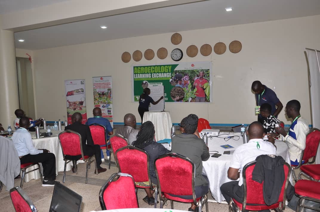 slowfooduganda's tweet photo. Agroecology Learning Exchange 2025 4th edition is officially underway at Alvers Hotel, Mukono.
Participants from diverse backgrounds have gathered to deepen their understanding of how agroecology can drive sustainable food systems and promote social equity.
#ALE2025 https://t.co/6RjIq5Z4Xa