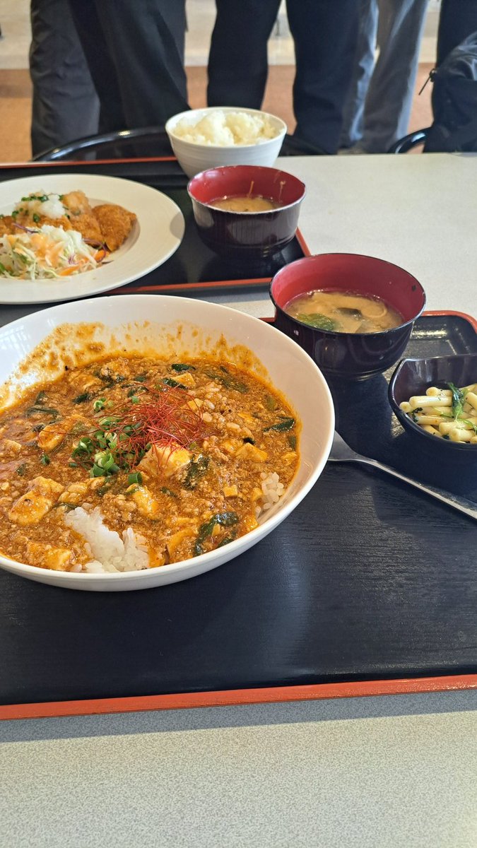 IGs75932's tweet photo. 今週の丼ぶりを頼んだら麻婆豆腐丼がでできた。
全��辛く無いけど旨かった
#大学生のお昼ごはん https://t.co/7V3Gyujym6