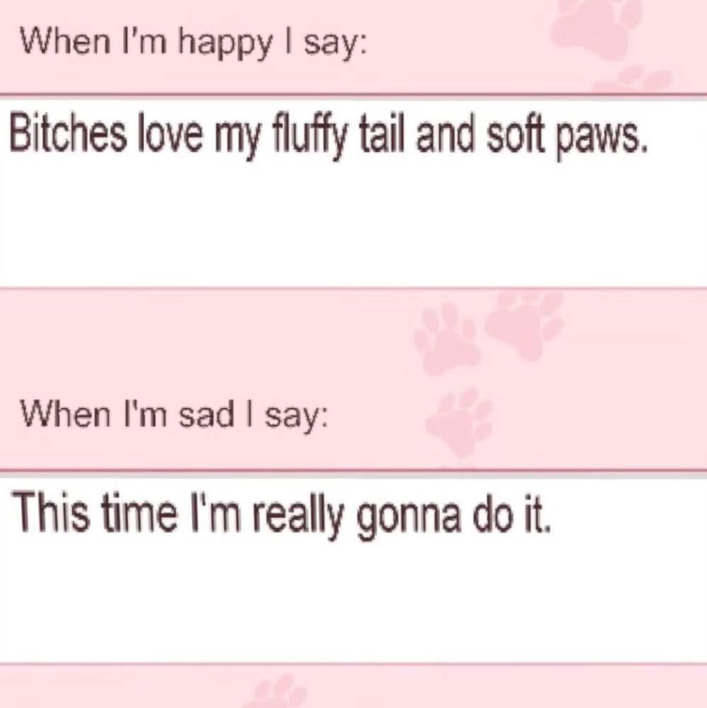 caspie (@_funfetti) on Twitter photo 