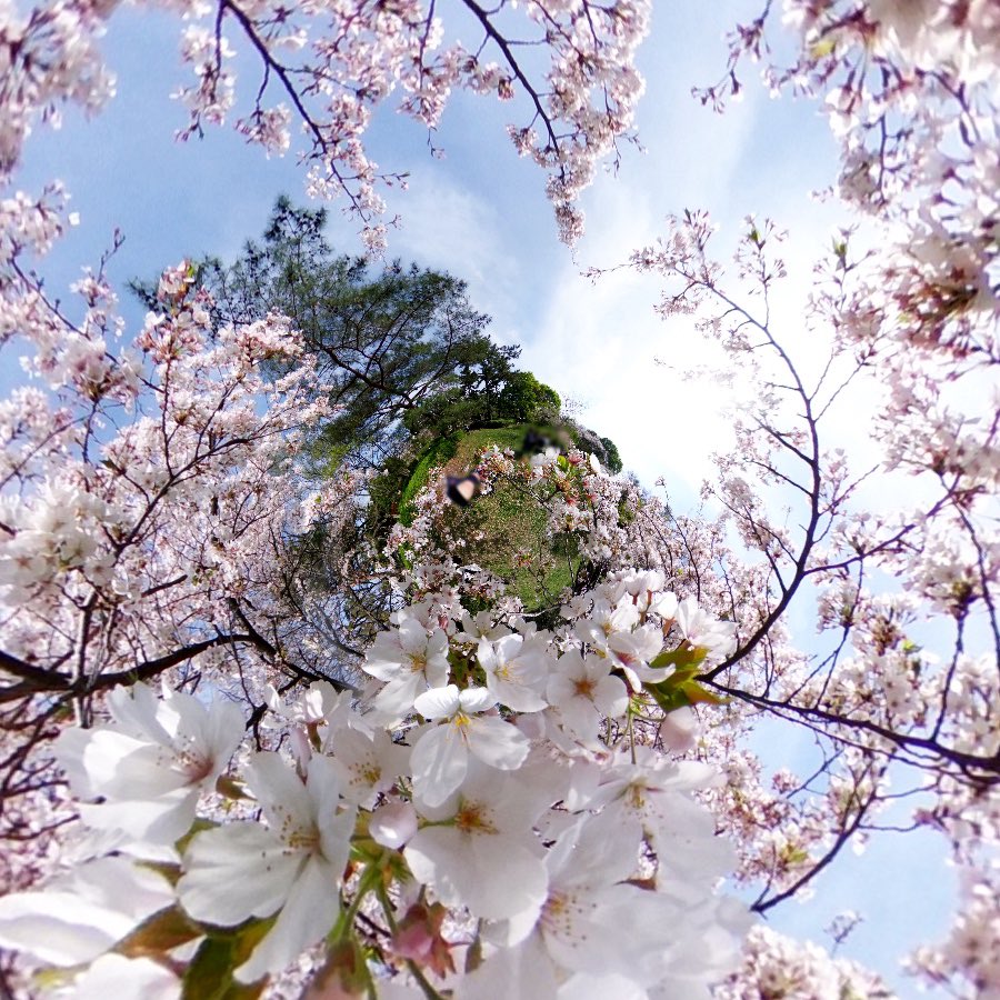 archemax's tweet photo. Podcast 『間(はざま)の音楽』~balanced music ~
#2 New term @Spotify
本日18時より
今回は7分くらいです🌸 https://t.co/DbmqL3xFvu