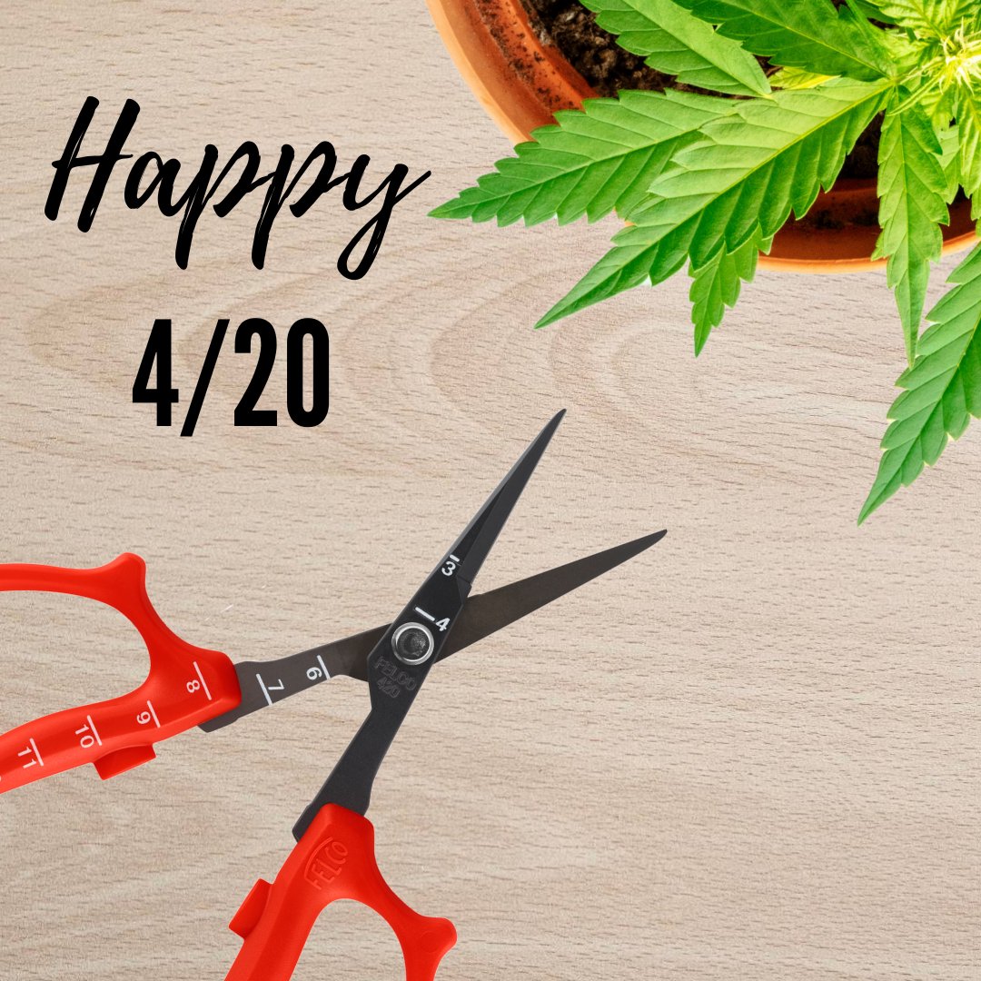 Trim with purpose. Trim with FELCO.

Happy 4/20! 🌱

#FELCO420 #PrecisionTrimming #420Friendly #FELCOTools #GrowWithFELCO #CleanCut #GreenThumbs