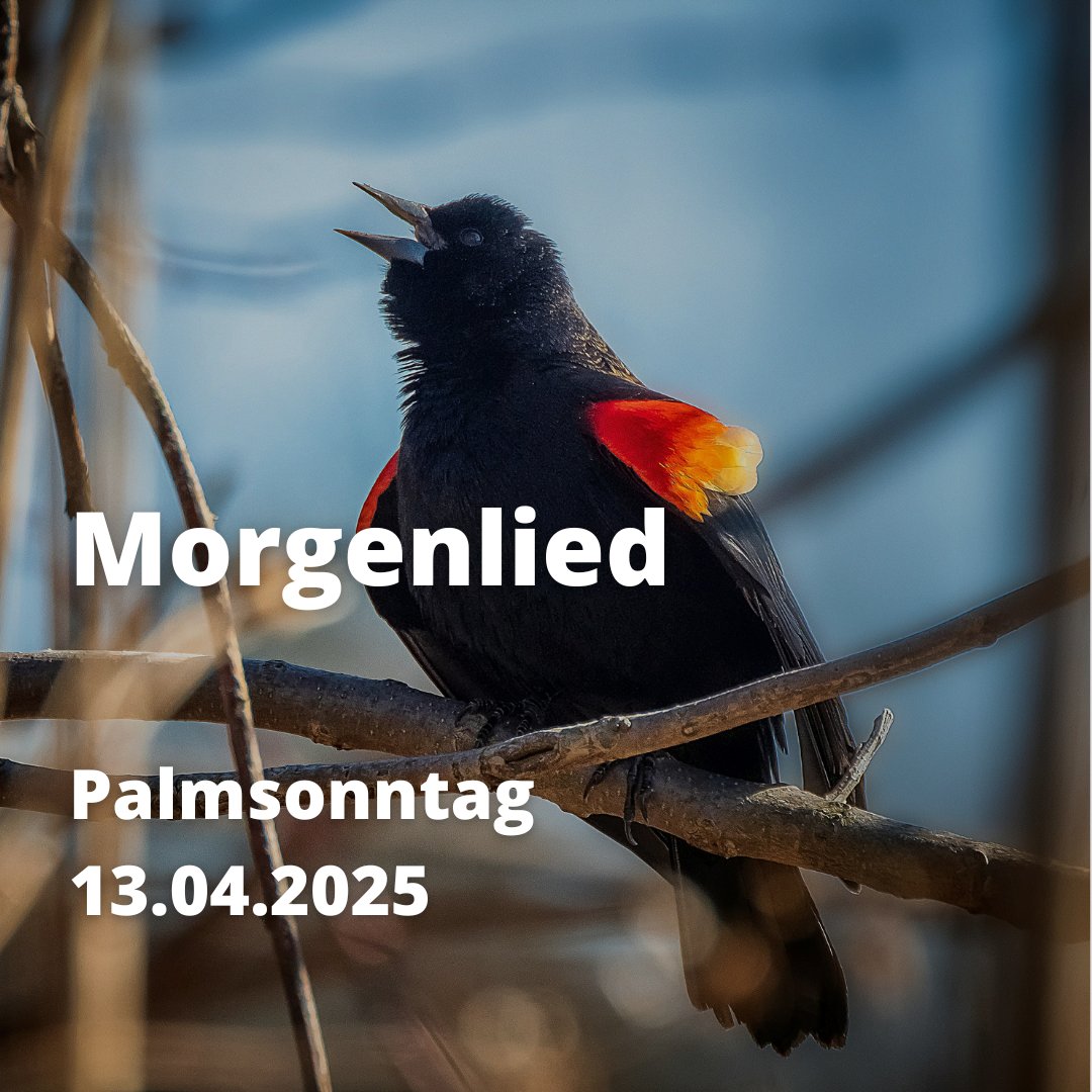Die neuen Predigten der GPI sind online. Schauen Sie vorbei! → theologie.whp.uzh.ch/apps/gpi/