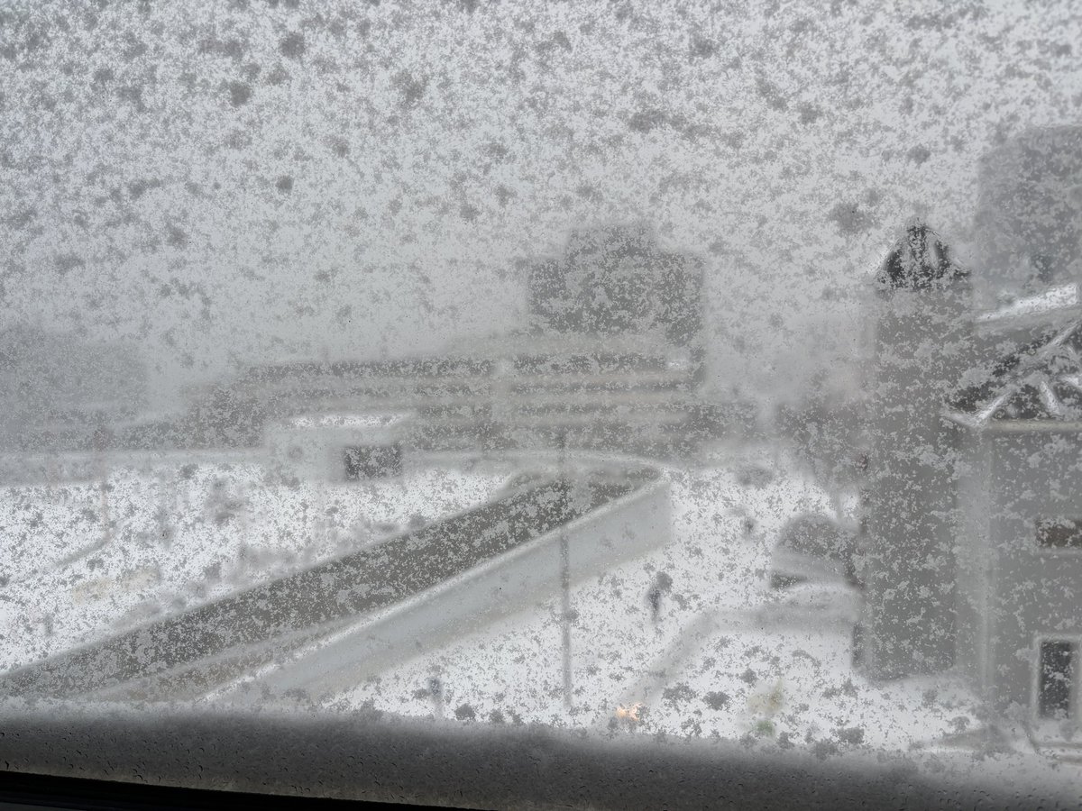 Gøran Skaalmo tweet media