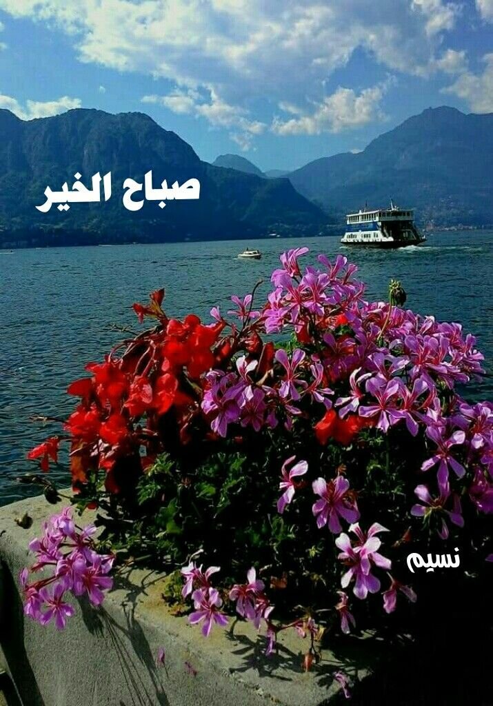 #صباح_الخير 

للأستفسار عن سهم🤔الصناعات الكهربائية أنابيب مسك العقارية أسترا الصناعية أسمنت اليمامة عطاء مبكو جاهز البابطين أنعام القابضة بوبا العربية مكة الكابلات السعودية جبل عمر الفخارية مسار نادك أنابيب السعودية