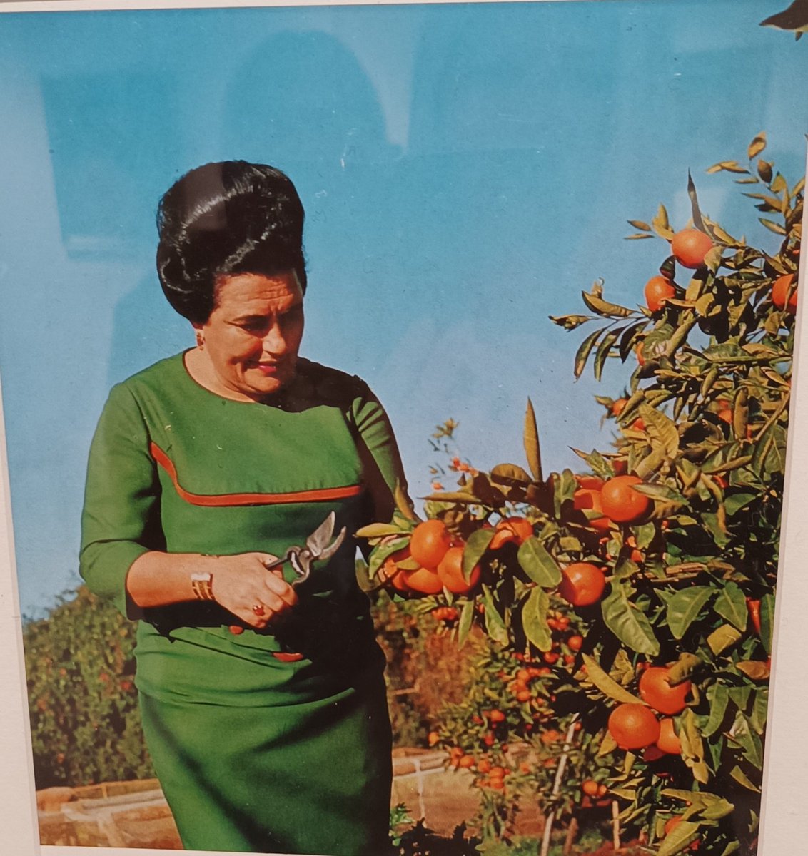 Na Brijunima, izložba Glas Jovanke Broz 😍. 
Oduševljena fotkom ☺️.