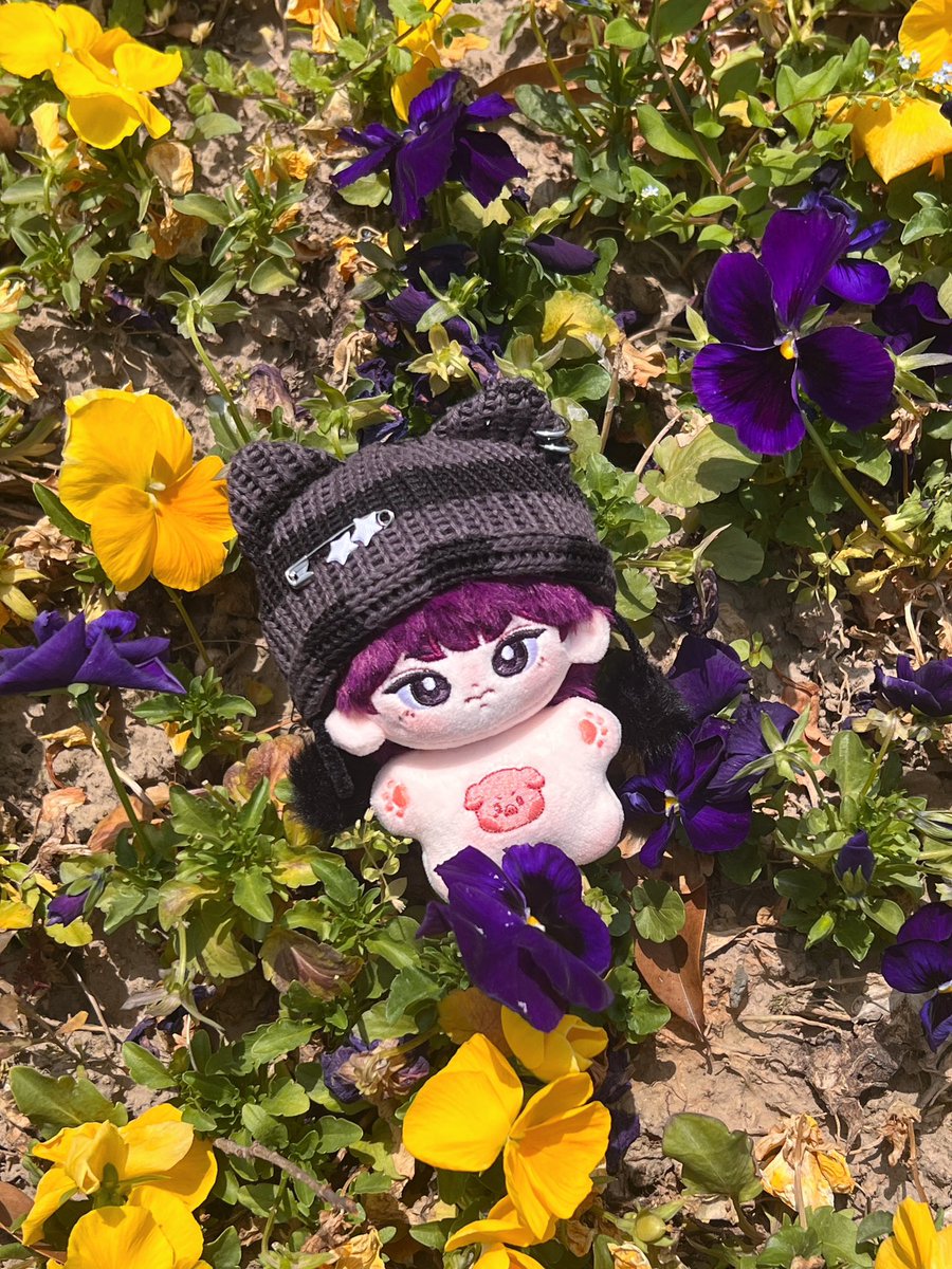 Two_EyeZ_'s tweet photo. 🌞💐✨ https://t.co/G0u7WK77wi