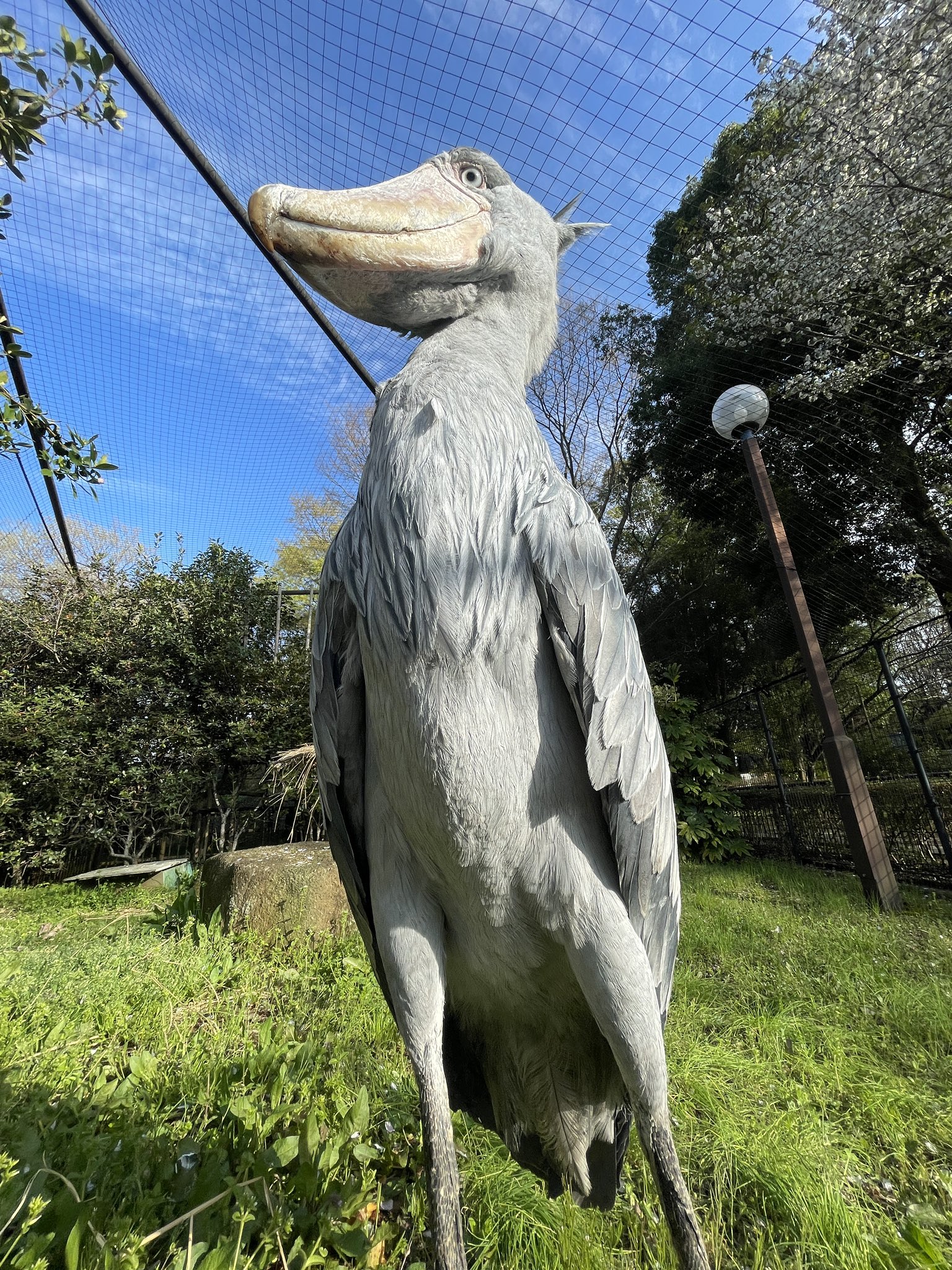 ♡ハシビ口コウ♡ページ ☆ハシビ口コウ☆様確認専用ページ【取り置き中】