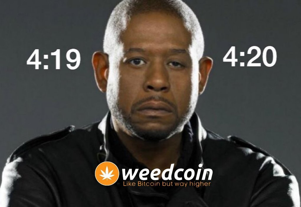 cryptomancc's tweet image. Higher. Not selling into the big bull fam. #Weedcoin #Weed

dexscreener.com/solana/46RmnrA…