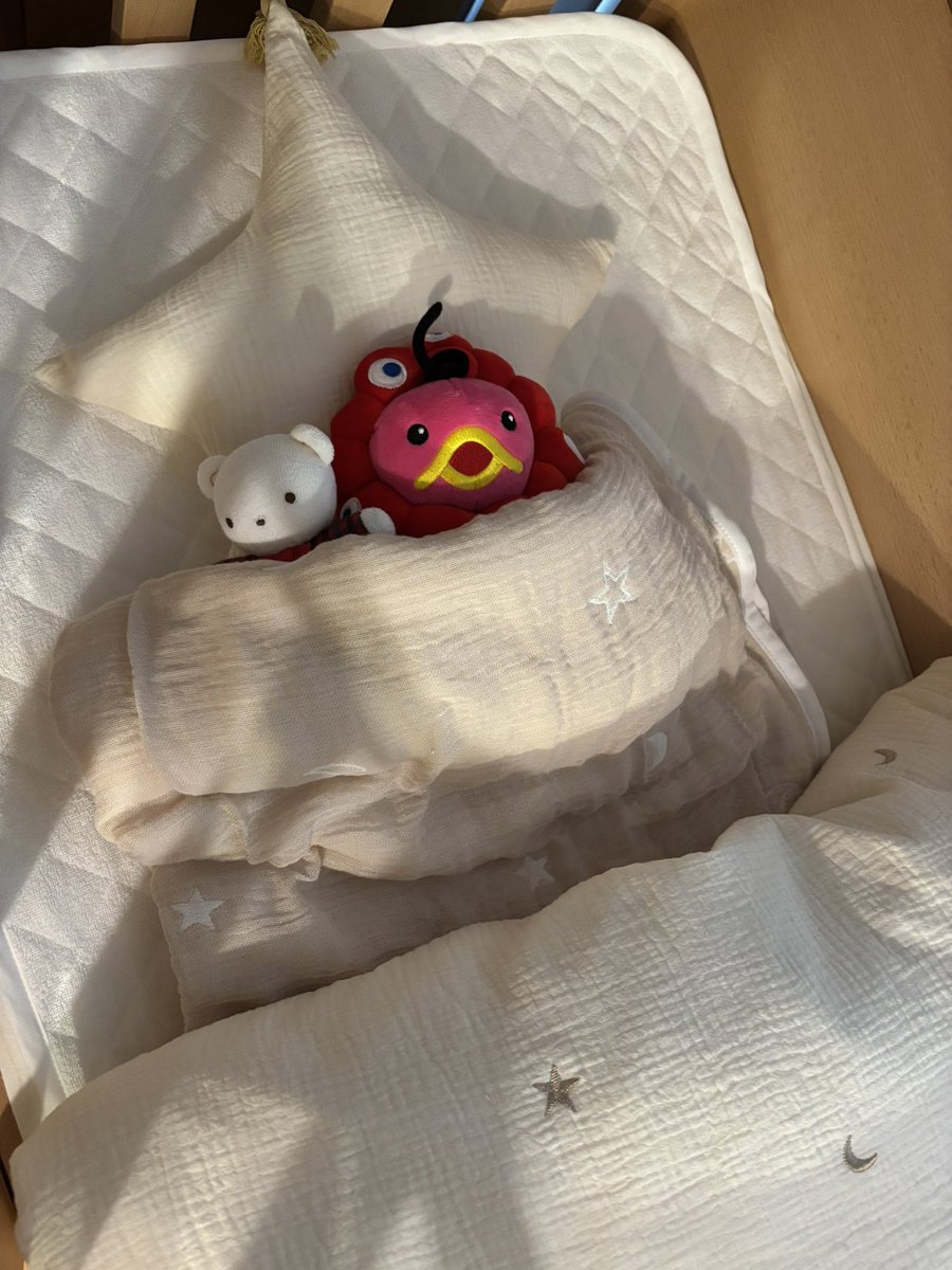 エビシーがミャクミャクとコラボした姿がめーっちゃ可愛くて💗
ベビーベッドにぬいぐるみを飾ってたら、今朝お布団に寝かされてました(笑)