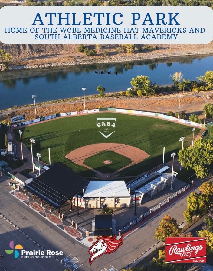 SABaseballAcademy tweet media