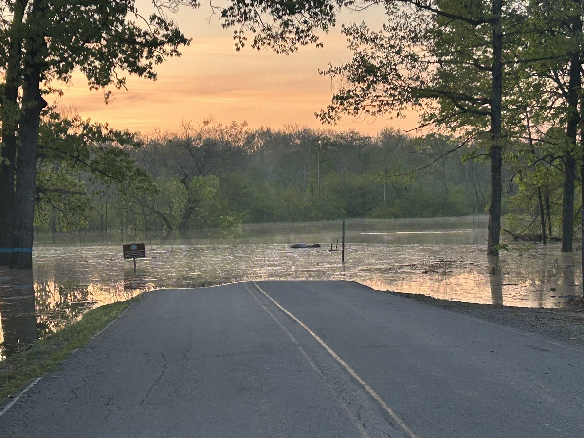 SandiBJones's tweet photo. @ToddYakoubian Sunrise on river
 flooding at Henry Gray/Hurricane Lake WMA in Bald Knob https://t.co/68NF1IiXTQ