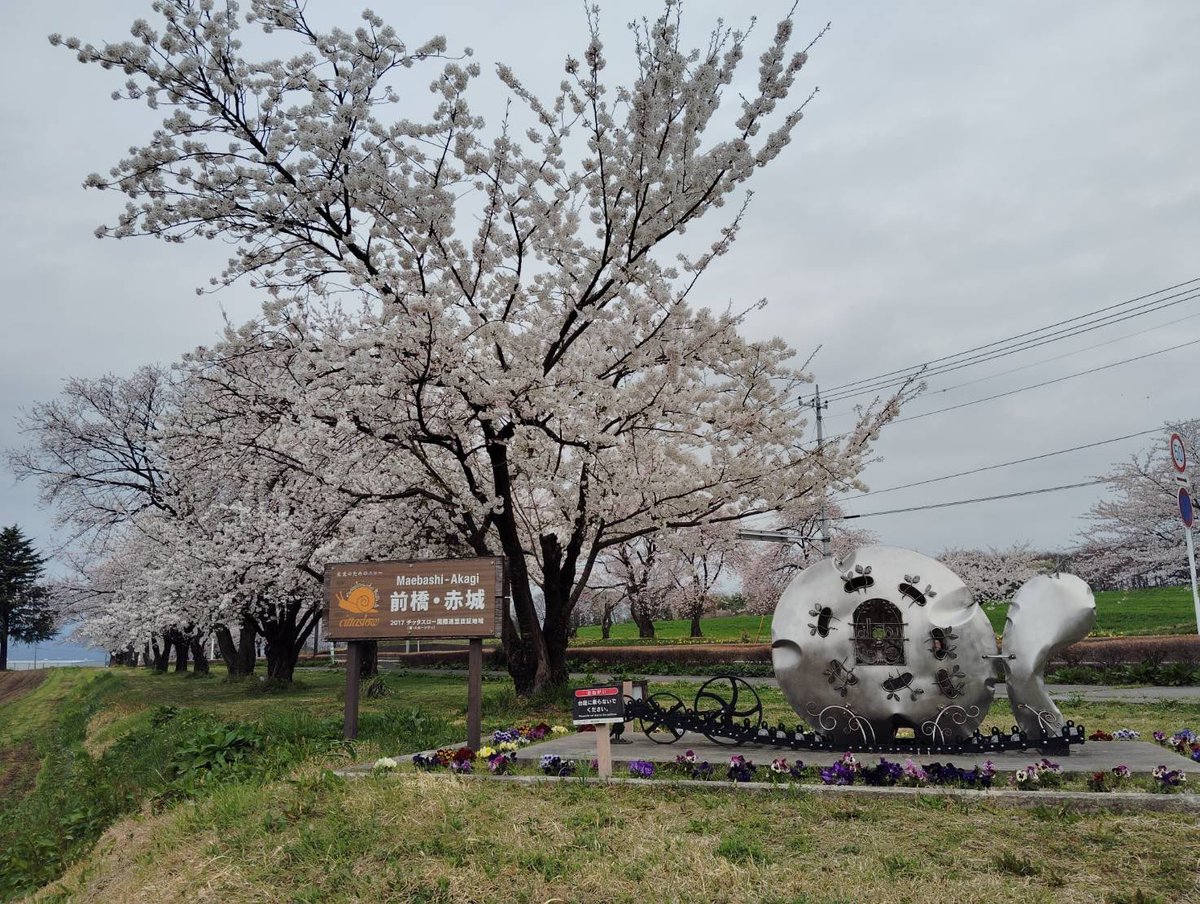 fujimi_onsen's tweet photo. おはゆ〜♨️ございますζς_(´͈ ˘ `͈*A_ζζ

富士見町の天気は☁️

畜産試験場交差点から富士見温泉の道のりは桜の木がたくさん🌸
満開で綺麗です✨

本日もよろしくお願いします✨

#企業公式が毎朝地元の天気を言い合う https://t.co/1CuQQdqo3g