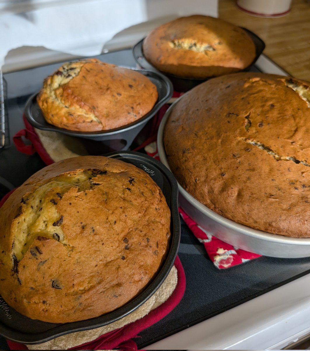 TheLadyGoatess's tweet photo. Countdown to cake!

Delicious cake layers fresh out of the oven. It might not look like it but this was enough batter for 4 regular sized cakes. The bottom layer is just really large (2 cakes-worth on its own)!

#ESOFam #TheElderScrolls #TESOnline https://t.co/baLBZvDBTo