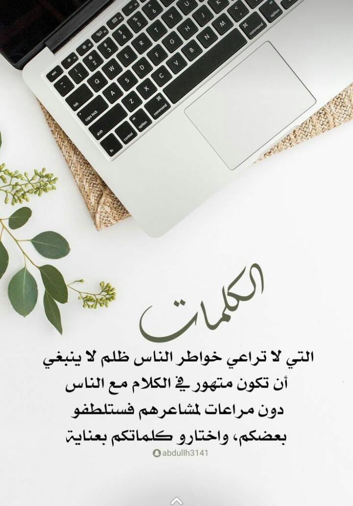 يوم جديد وصباح أجمل أن شاء الله 👌💚